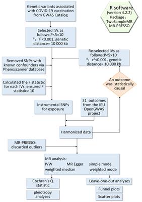 COVID-19 vaccination and the risk of autoimmune diseases: a Mendelian randomization study